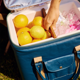 25l Box Cooler | Genuine Leather & Hard Inner Bin | Corporate Aqua Leather / Gun Metal Chunky Zip Box Cooler by Thandana