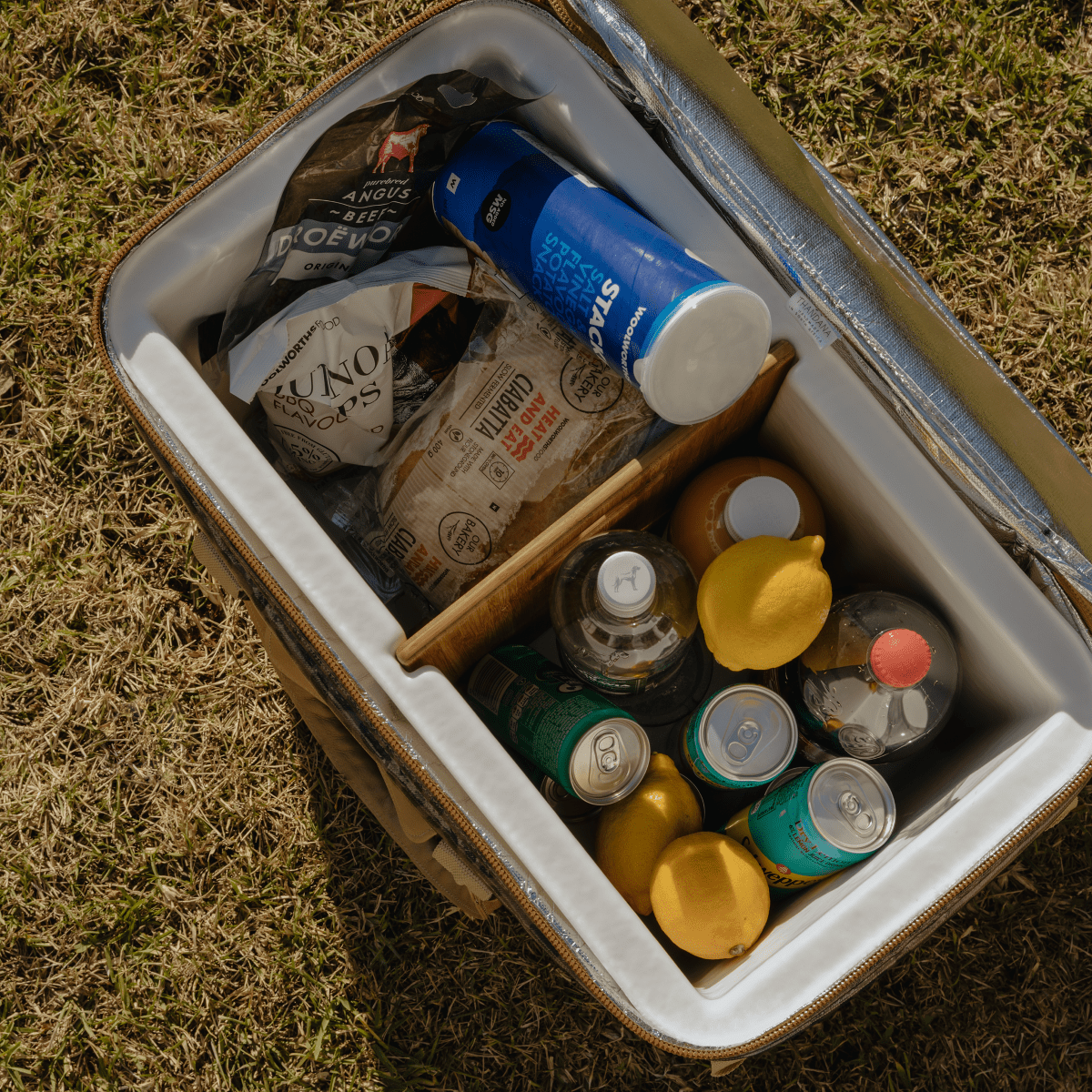 45l Big Boy Box Cooler | Laminated Fabric with Genuine Leather & Hard Inner Bin Box Cooler by Thandana