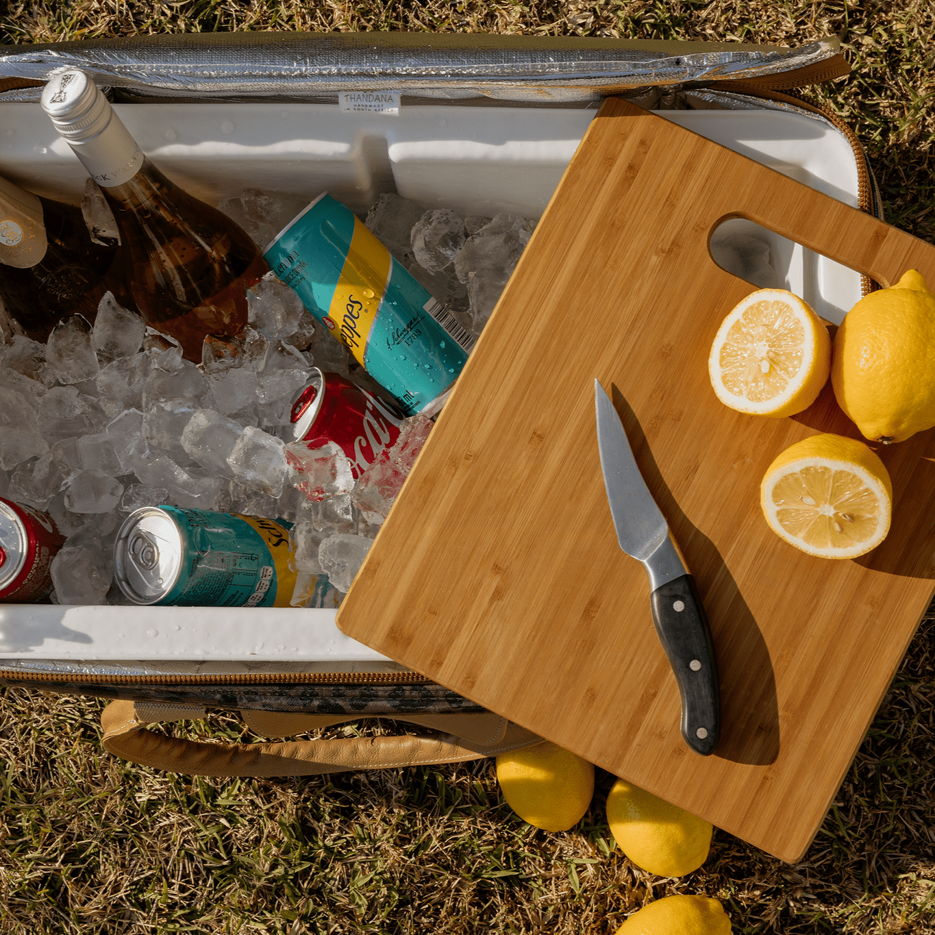 45l Big Boy Box Cooler | Laminated Fabric with Genuine Leather & Hard Inner Bin Box Cooler by Thandana