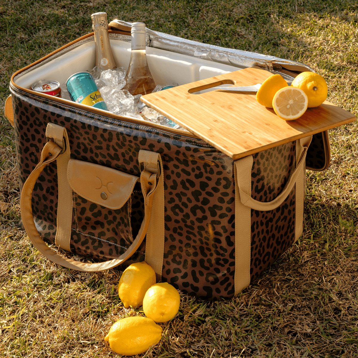 45l Big Boy Box Cooler | Laminated Fabric with Genuine Leather & Hard Inner Bin Box Cooler by Thandana
