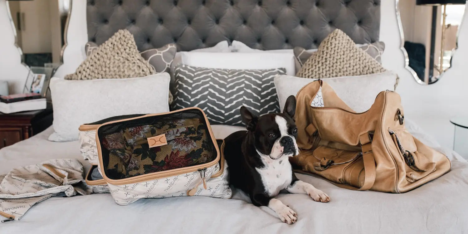 How to Plan a Staycation | your Ultimate Guide on Packing for a Local Holiday